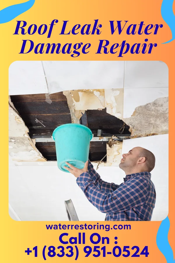 Roof Leak Water Damage Repair in Oak Hill, FL